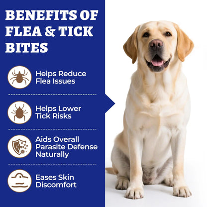 Wellix Flea & Tick Support Chews for Dogs - Pet Skin & Coat Care Supplement, Tiktok Shop Spring Glowup Item